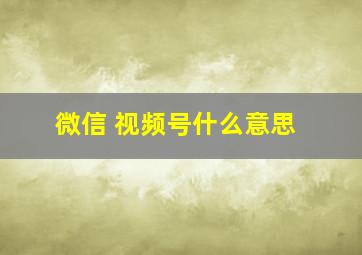 微信 视频号什么意思